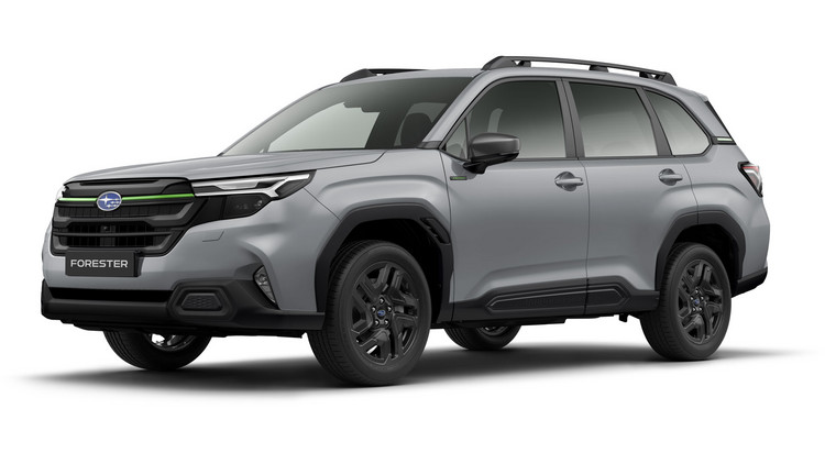 Bild zu Forester Sonderedition